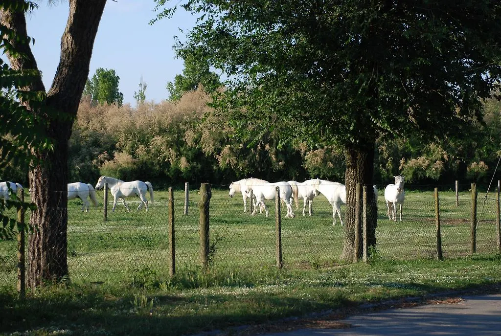Villetta Con Ampio Giardino Llido Degli Estensi
